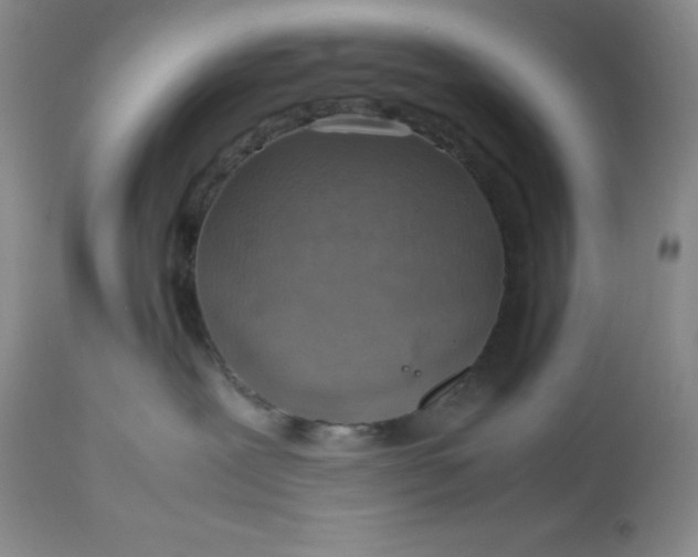 X0000112810239200909111306