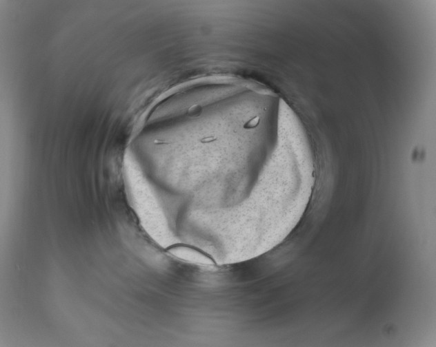 X0000112810240200909111306