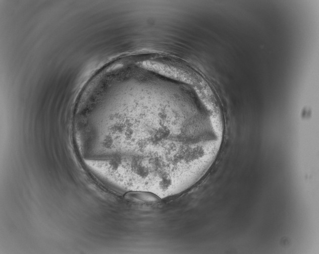 X0000112810241200909111305