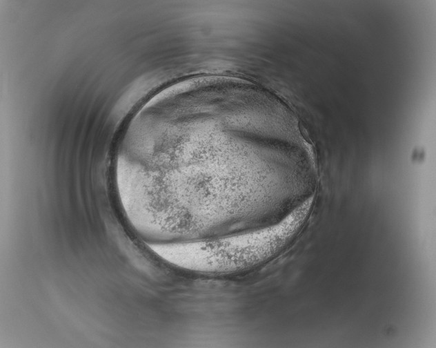 X0000112810242200909111305