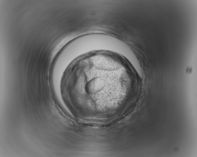 X0000112810244200909111306