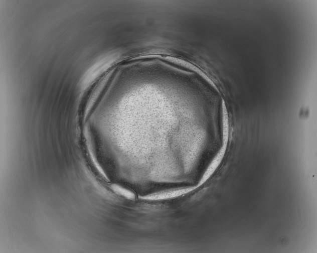 X0000112810245200909111306