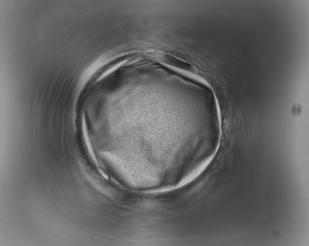 X0000112810246200909111306