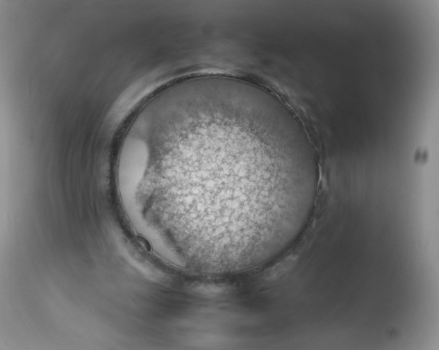 X0000112810247200909111306