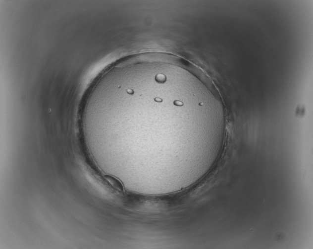 X0000112810248200909111306