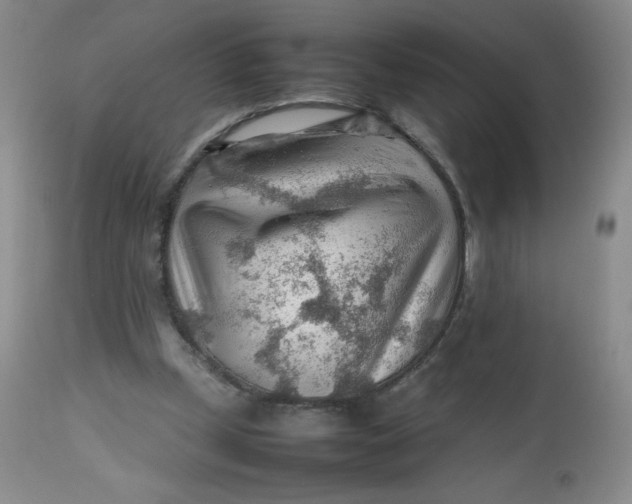 X0000112810249200909111306