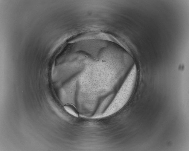 X0000112810250200909111306