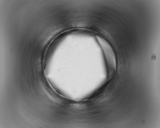 X0000112810251200909111306