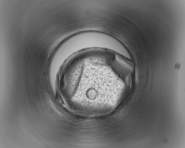 X0000112810252200909111306