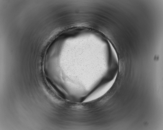 X0000112810253200909111306