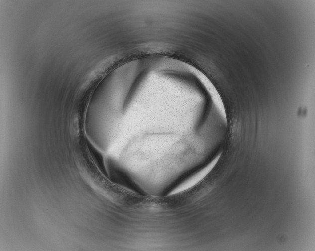 X0000112810254200909111306