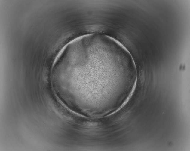 X0000112810255200909111306