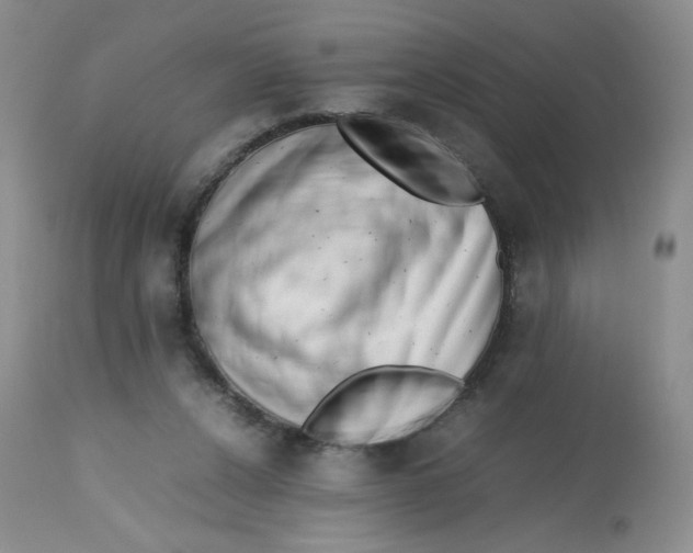 X0000112810256200909111306