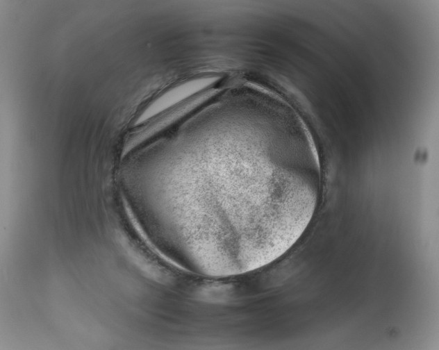 X0000112810257200909111306