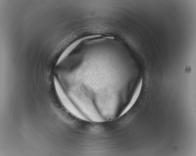 X0000112810258200909111306