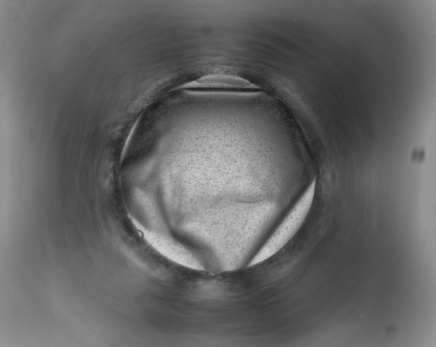 X0000112810259200909111306