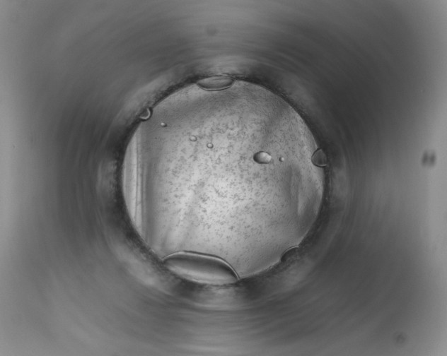 X0000112810260200909111306