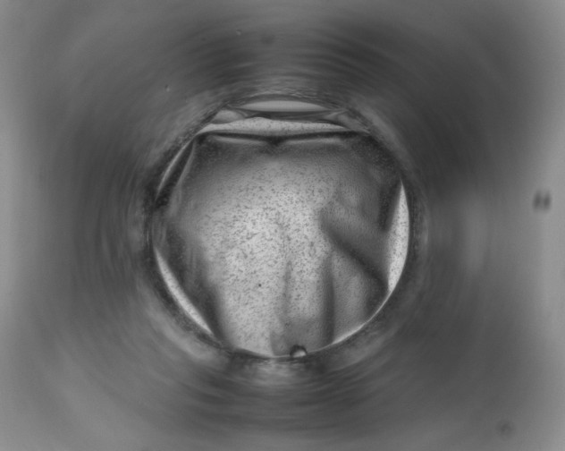 X0000112810261200909111306