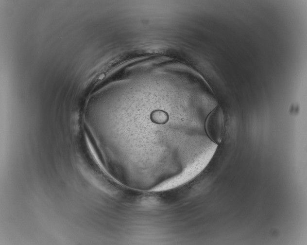 X0000112810262200909111306