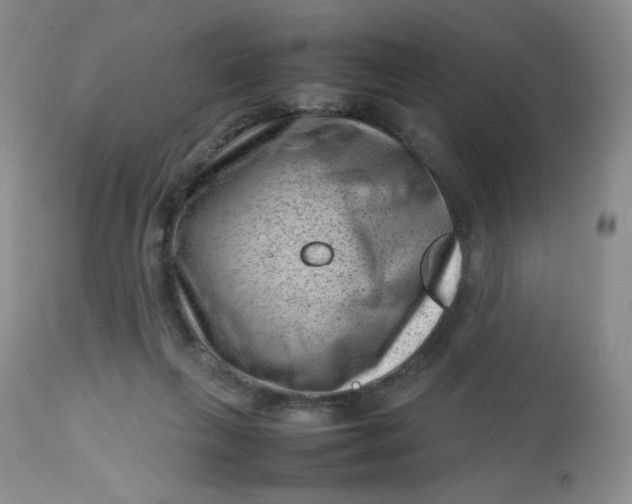 X0000112810263200909111306