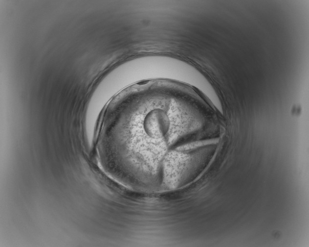 X0000112810264200909111306