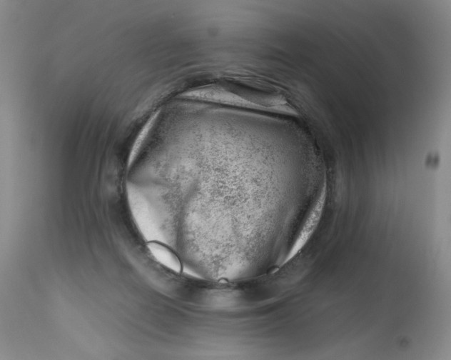 X0000112810266200909111306