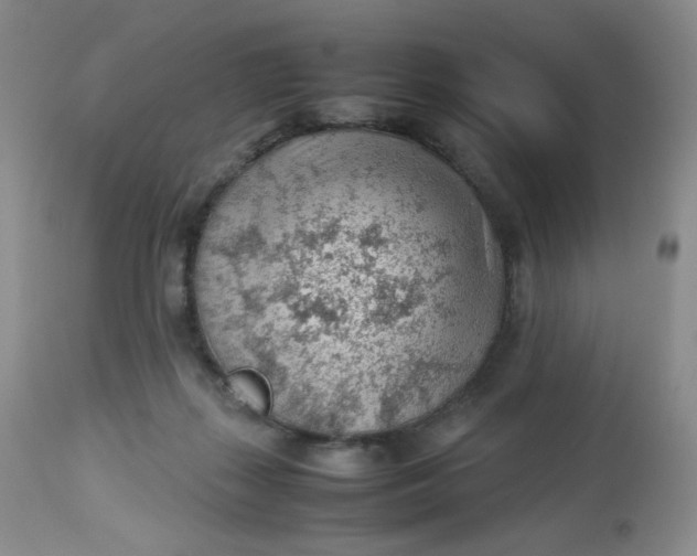 X0000112810267200909111306