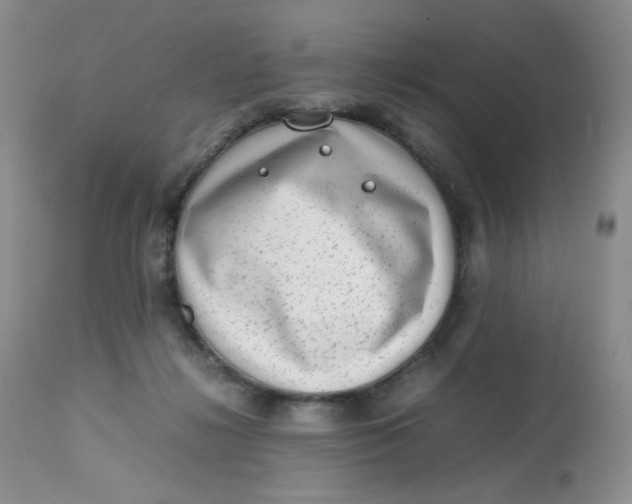 X0000112810268200909111306