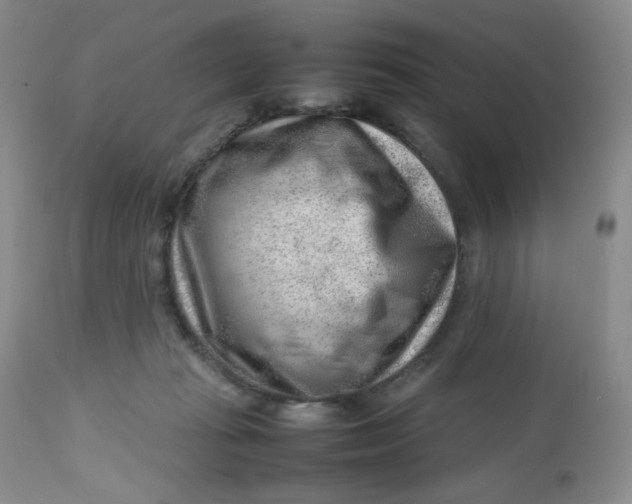 X0000112810269200909111306