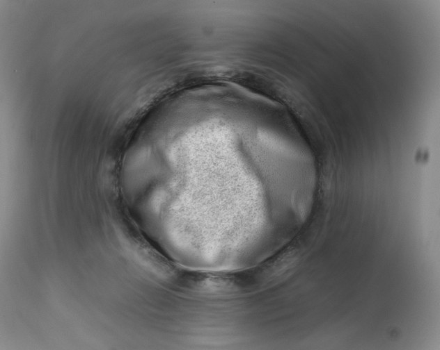 X0000112810270200909111306