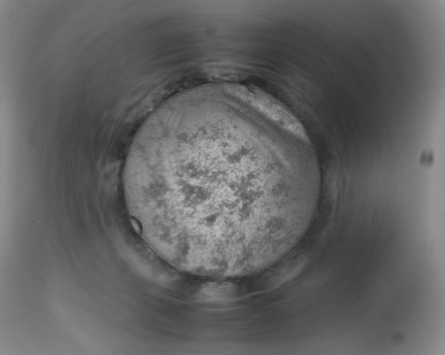 X0000112810271200909111306