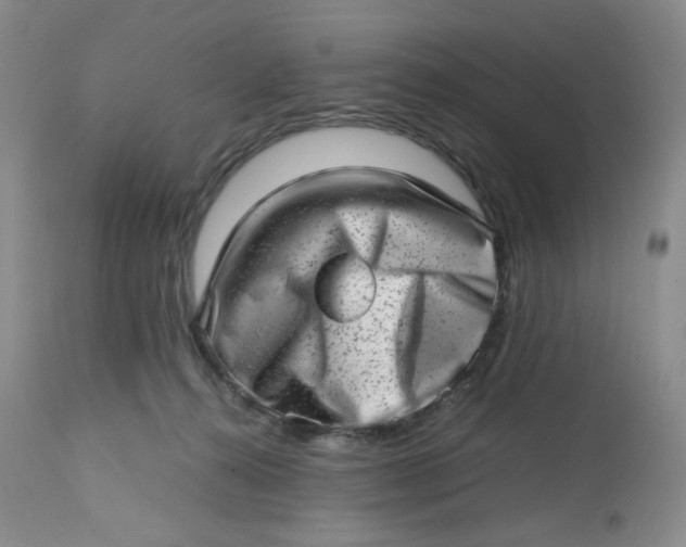 X0000112810272200909111306