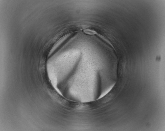 X0000112810274200909111306