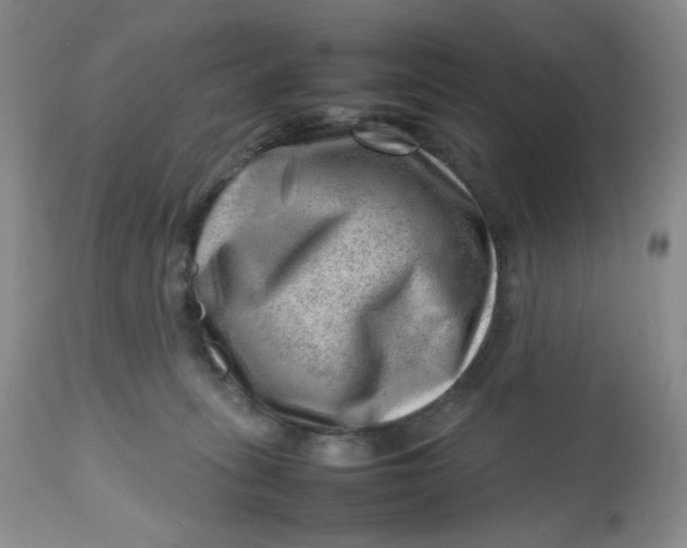 X0000112810275200909111306