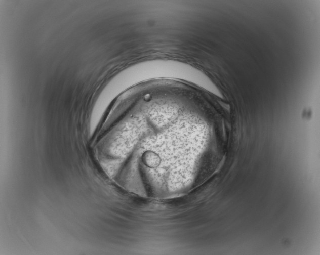 X0000112810276200909111306