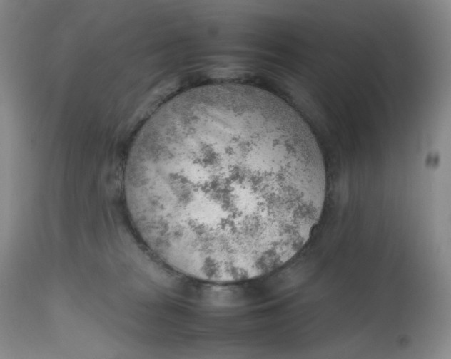 X0000112810277200909111306