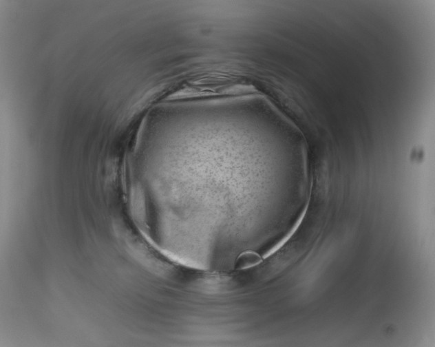 X0000112810278200909111306