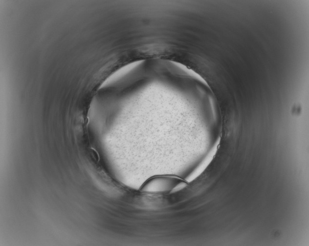 X0000112810279200909111306