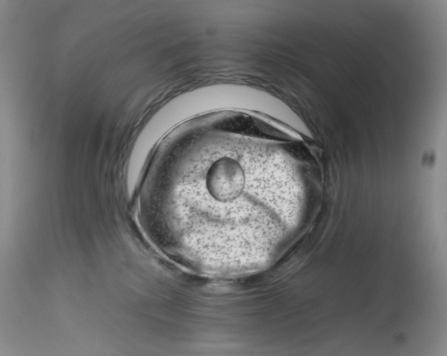 X0000112810280200909111306