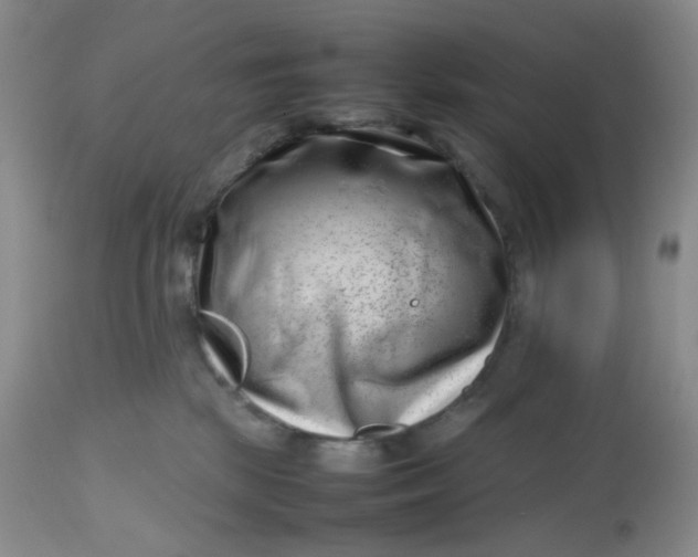 X0000112810281200909111306