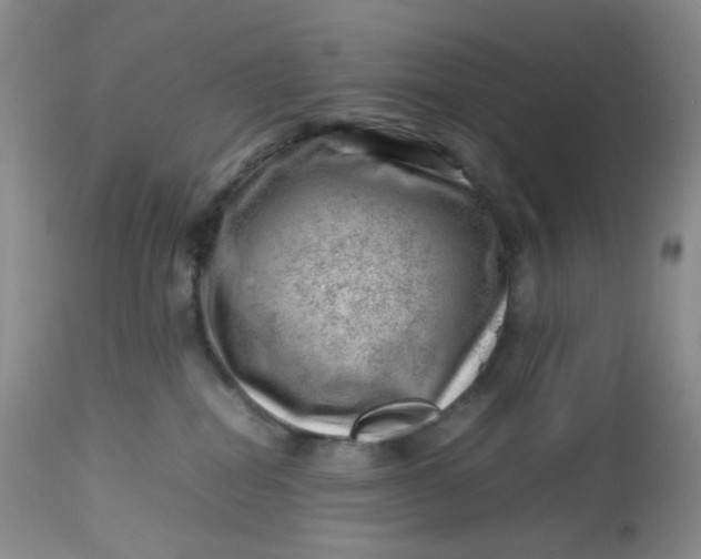 X0000112810282200909111306