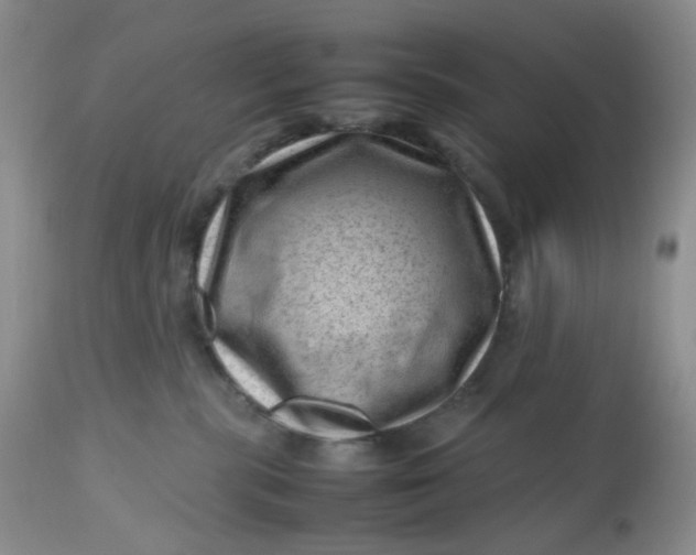 X0000112810283200909111306