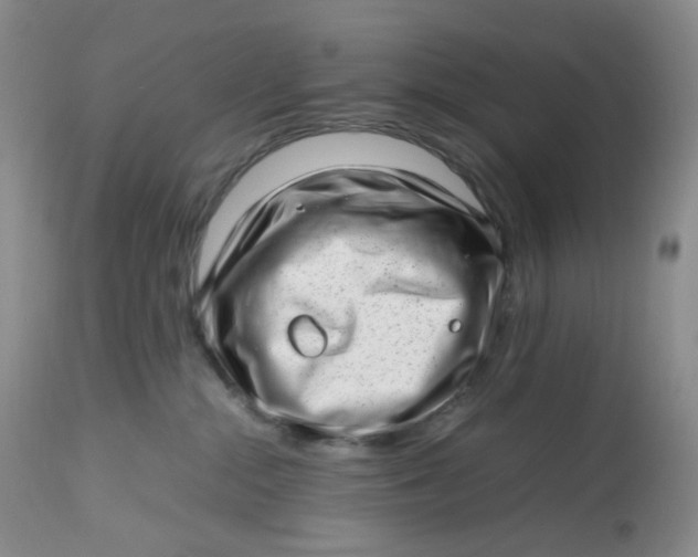 X0000112810284200909111306