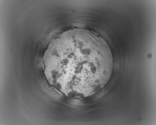 X0000112810285200909111306