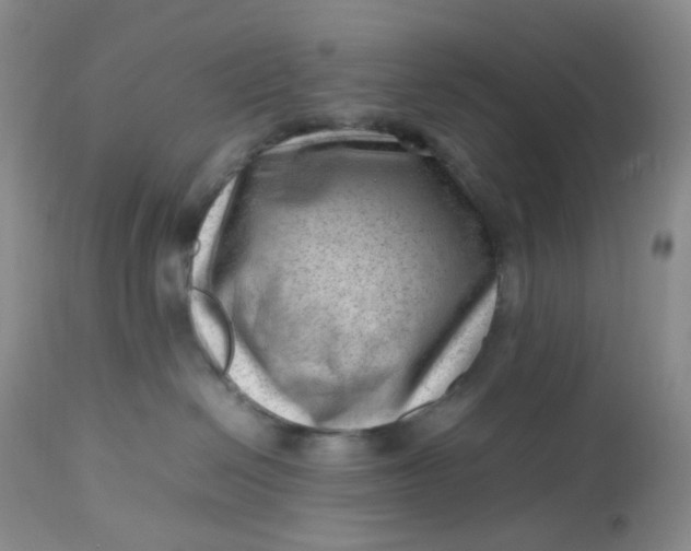 X0000112810286200909111306