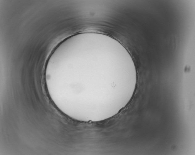 X0000112810289200909111305