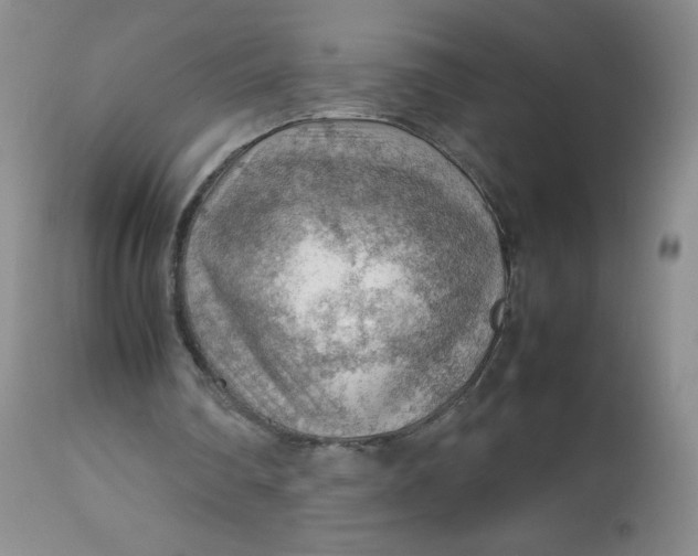 X0000112810290200909111305