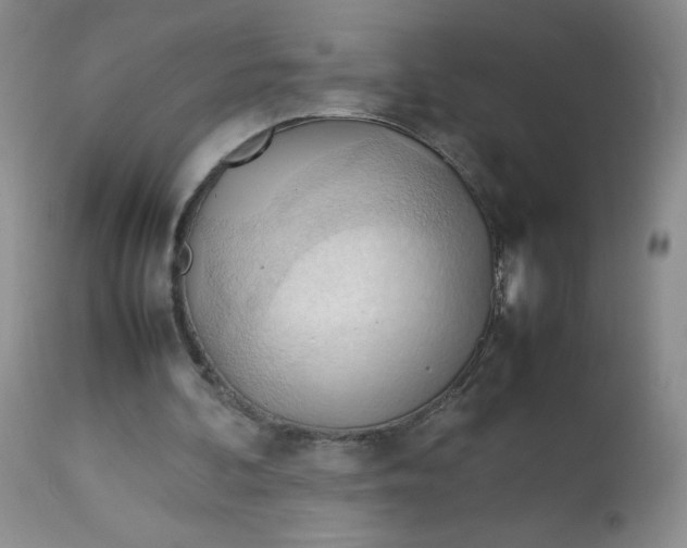 X0000112810292200909111305