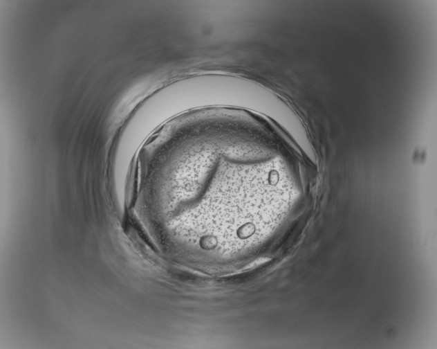 X0000112810293200909111305