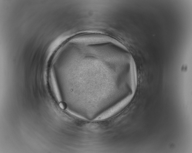 X0000112810294200909111305